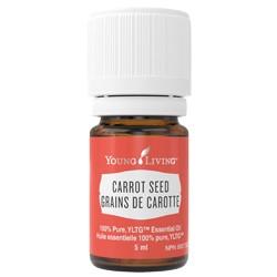 YL Carrot Seed Essential Oil - Biosense Clinic
