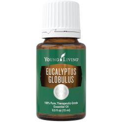 YL Eucalyptus Globulus Essential Oil - Biosense Clinic