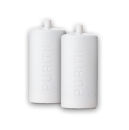 Puritii - (filter x 2) - Biosense Clinic